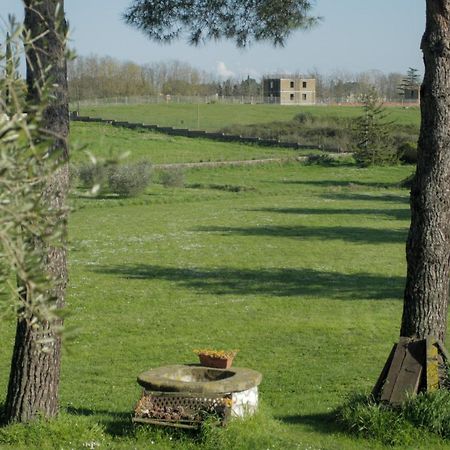 Bed and Breakfast Il Casale Di Gardenia Cesano Exterior foto