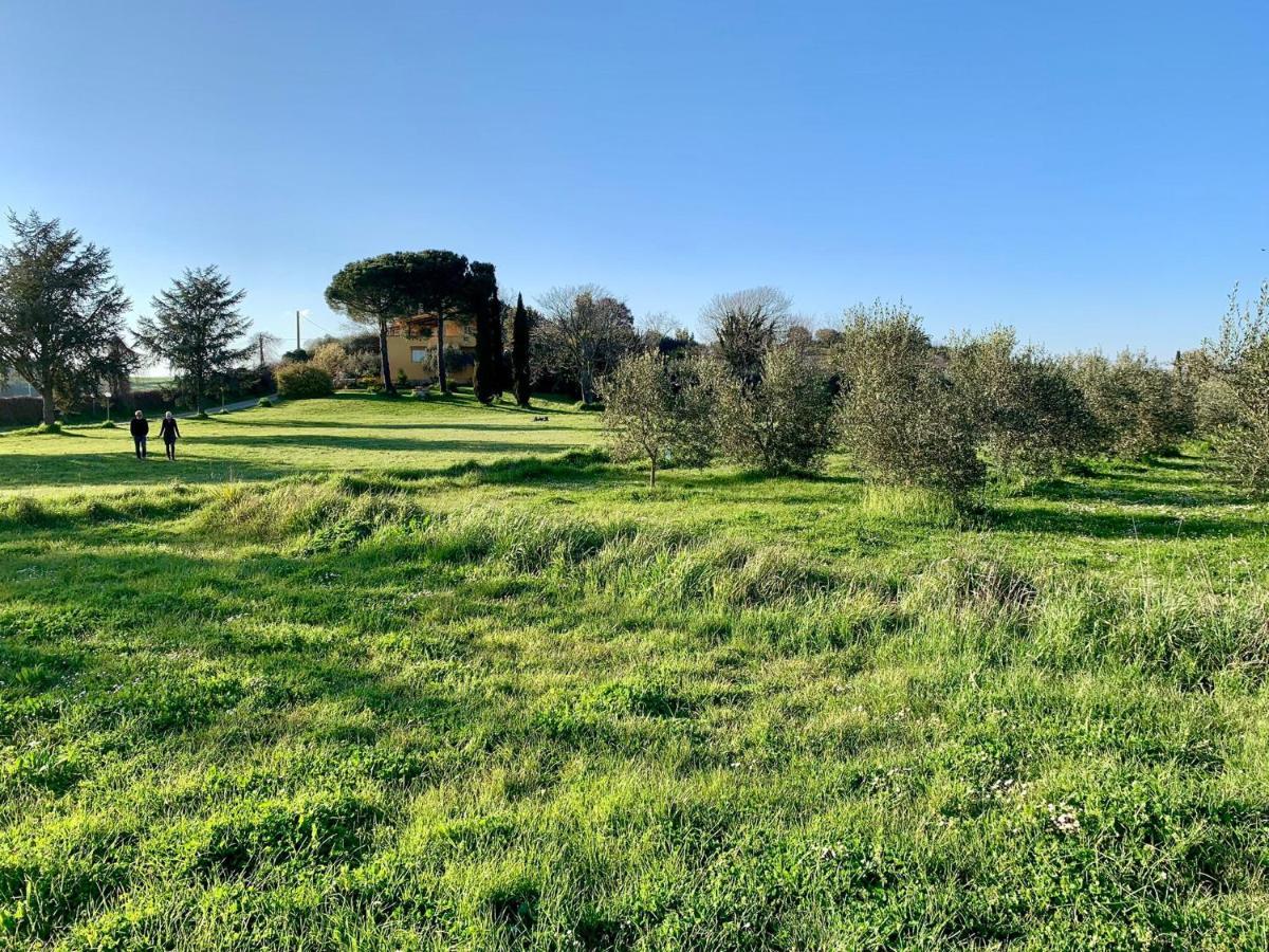 Bed and Breakfast Il Casale Di Gardenia Cesano Exterior foto